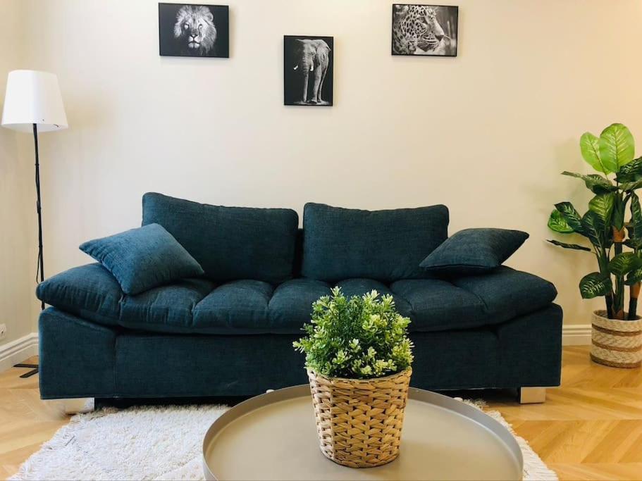 Le Bellifontain Proche Chateau - Insead - Grand Parquet Apartment